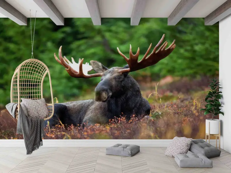 Papel pintado elegante con estampado de alces: decoración de animales salvajes para la cueva del hombre