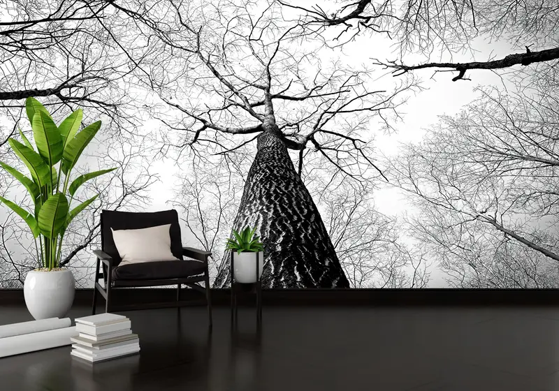 Zarif Siyah Beyaz Orman Manzaralı Baskılı Duvar Kağıdı