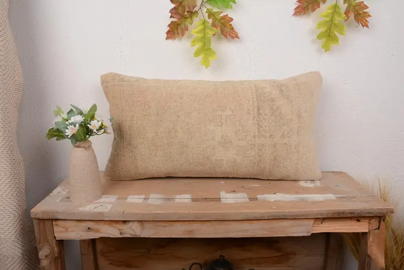 Beige Southwestern Throw Pillow, 12x24 Embroidered Cushion with Zipper Closure