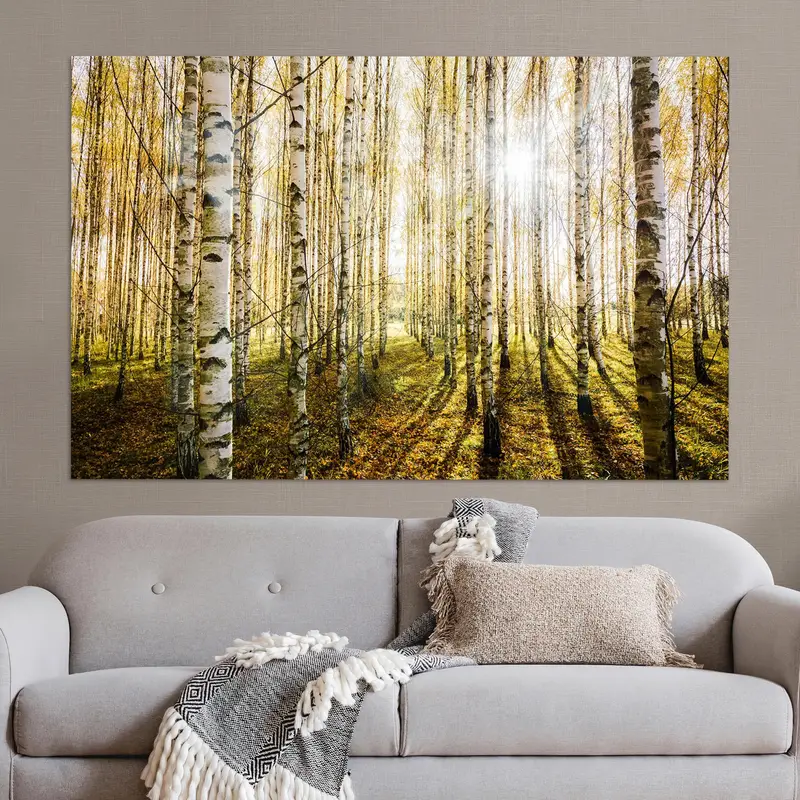 Zarif Baskılı Cam: Modern Evler için Orman Peyzaj Tasarımı