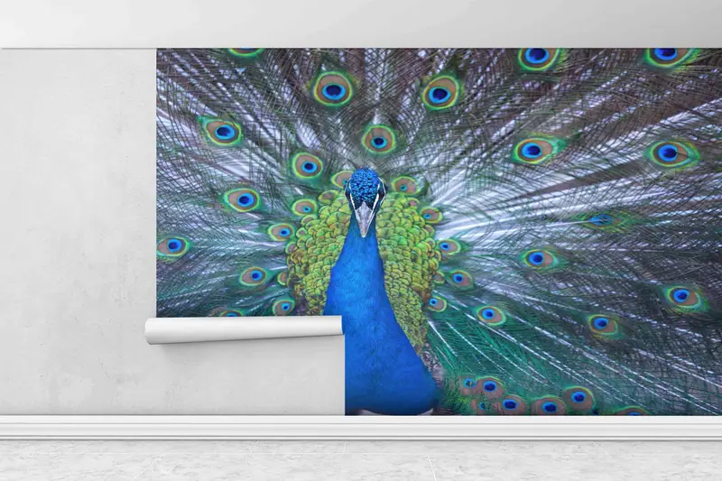 Paper Crafts, Peacock Wall Poster, Peacock Lover Gift Wall Decals, Animal Mural, Modern Paper Art, Custom Wall Paper, Printable Wall Art, - 6