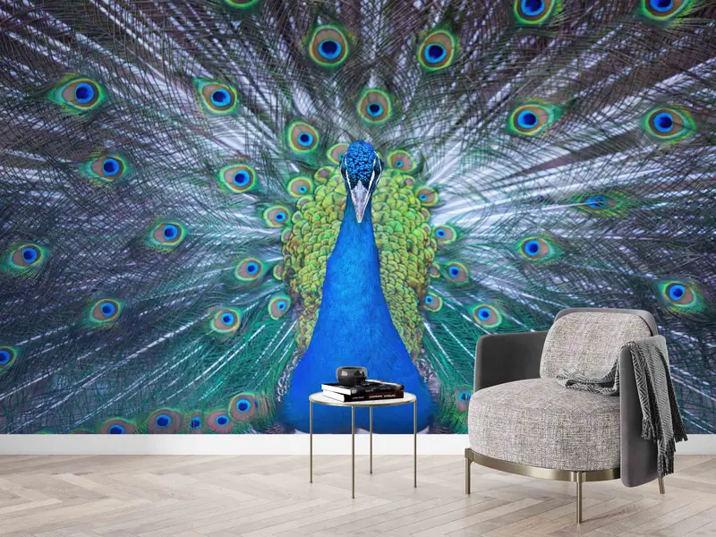 Paper Crafts, Peacock Wall Poster, Peacock Lover Gift Wall Decals, Animal Mural, Modern Paper Art, Custom Wall Paper, Printable Wall Art, - 1