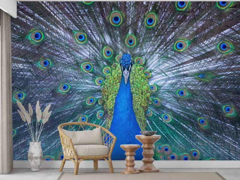 Paper Crafts, Peacock Wall Poster, Peacock Lover Gift Wall Decals, Animal Mural, Modern Paper Art, Custom Wall Paper, Printable Wall Art, - 2