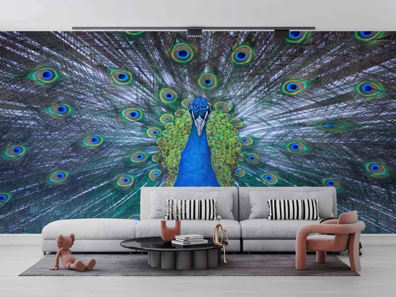 Paper Crafts, Peacock Wall Poster, Peacock Lover Gift Wall Decals, Animal Mural, Modern Paper Art, Custom Wall Paper, Printable Wall Art, - 8
