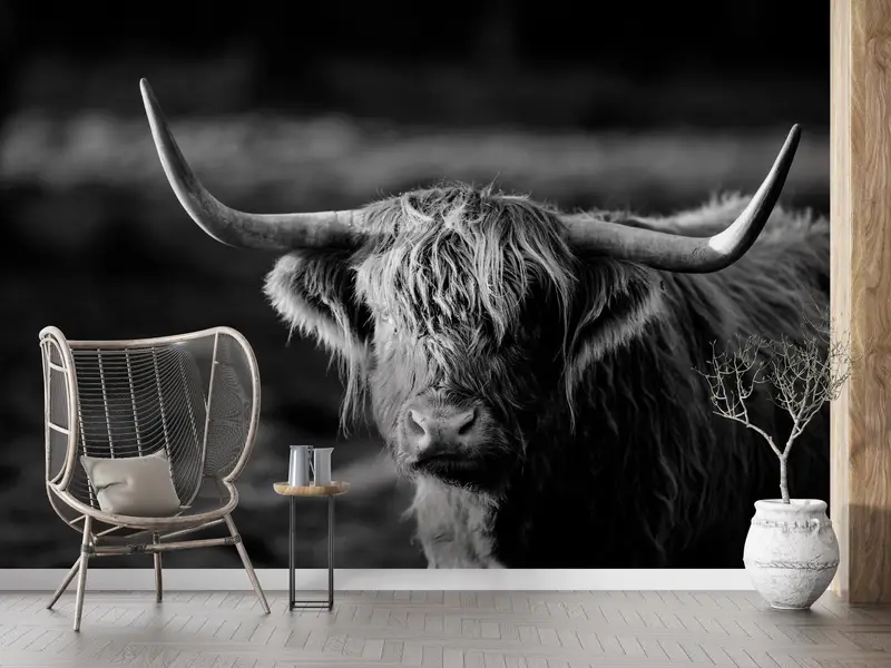 Ox Photo Print, Wildlife Wall Paper, Wild Cow Wall Print, Horned Bull Mural, Buffalo Wall Print, Cow Wall Painting, - 2
