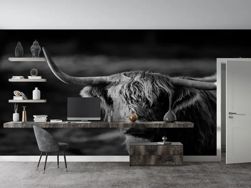 Ox Photo Print, Wildlife Wall Paper, Wild Cow Wall Print, Horned Bull Mural, Buffalo Wall Print, Cow Wall Painting, - 4