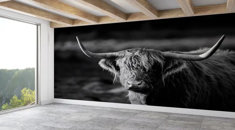 Ox Photo Print, Wildlife Wall Paper, Wild Cow Wall Print, Horned Bull Mural, Buffalo Wall Print, Cow Wall Painting, - 6