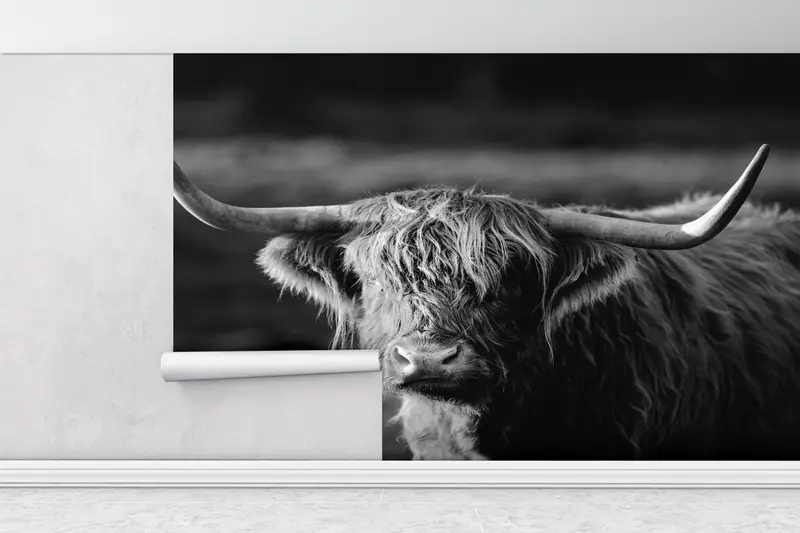 Ox Photo Print, Wildlife Wall Paper, Wild Cow Wall Print, Horned Bull Mural, Buffalo Wall Print, Cow Wall Painting, - 1