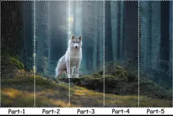 Thumbnail 8