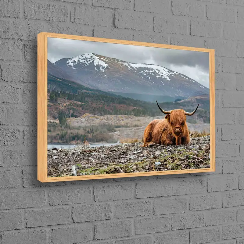 トレンディな海岸牛プリント: エレガントなトロピカルファームハウスキャンバスアート