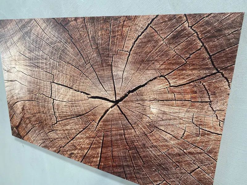 Contemporary Abstract Wood Crack Canvas Print - Trendy Nature Art