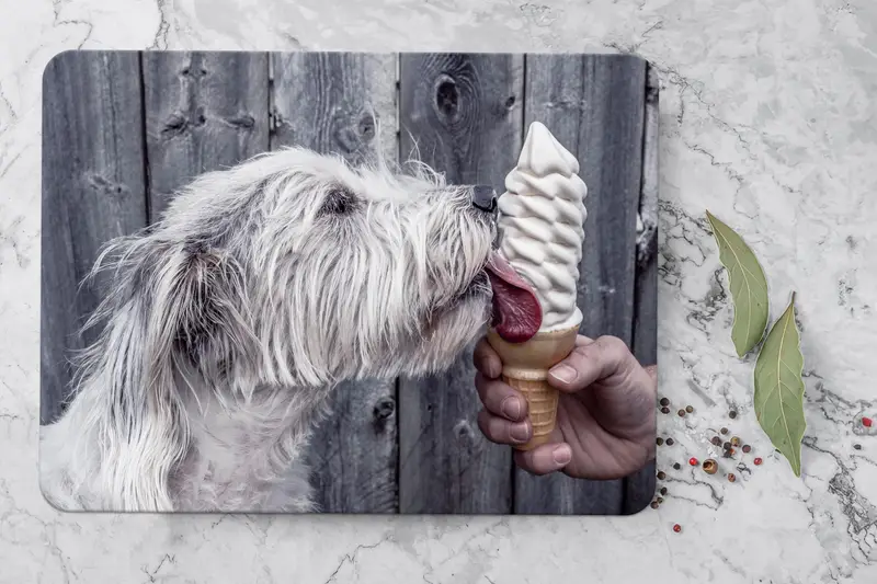 かわいい犬のプリントガラスまな板、強化、キッチンの必需品