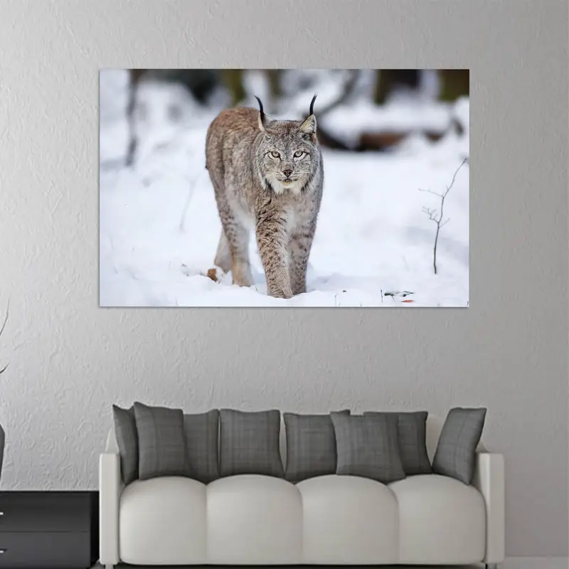 Elegant Wolf Cat Printed Glass: Winter Wild Animal Theme