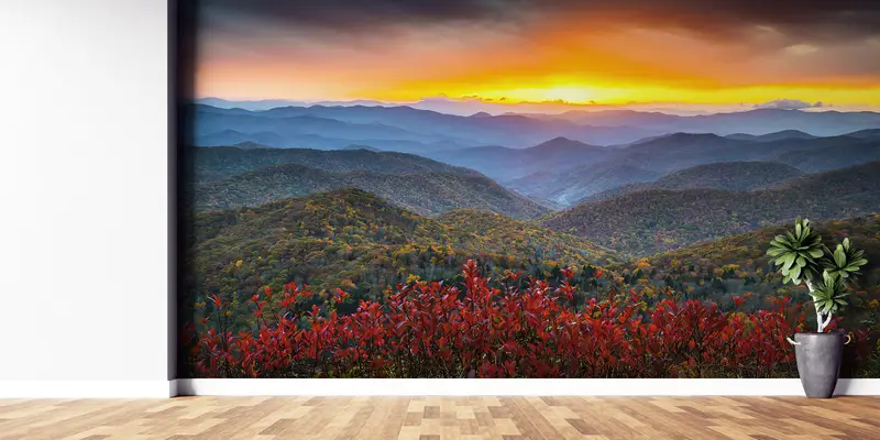 Sunset Wall Poster, Nature Wall Mural, Modern Wall Paper, Custom Wall Paper, Wall Paper Peel and Stick, , Autumn Mural, - 2