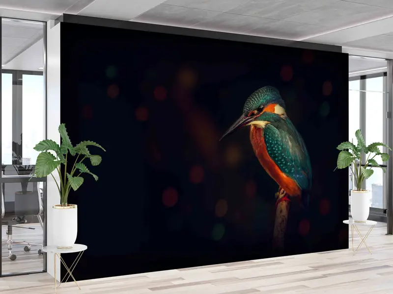 Süßes Vogelwand -Wandbild, tierisches digitales Papier, Kingfisher Vogel Wandmalerei, schwarzes Wandbild, Geschenk für ihn, Wandkunstdekor, farbenfrohe Vogelkunst - 7