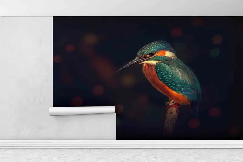 Süßes Vogelwand -Wandbild, tierisches digitales Papier, Kingfisher Vogel Wandmalerei, schwarzes Wandbild, Geschenk für ihn, Wandkunstdekor, farbenfrohe Vogelkunst - 6