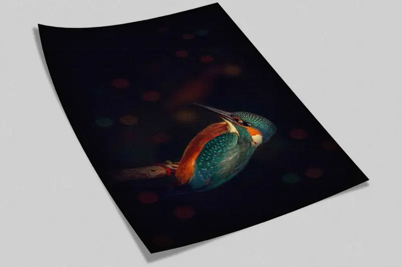 Süßes Vogelwand -Wandbild, tierisches digitales Papier, Kingfisher Vogel Wandmalerei, schwarzes Wandbild, Geschenk für ihn, Wandkunstdekor, farbenfrohe Vogelkunst - 10