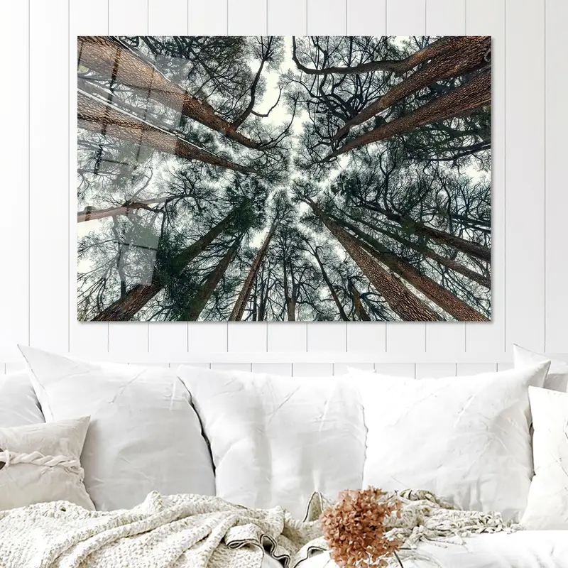 エレガントなファームハウス フォレスト ビュー キャンバス プリント - 自然の静けさ