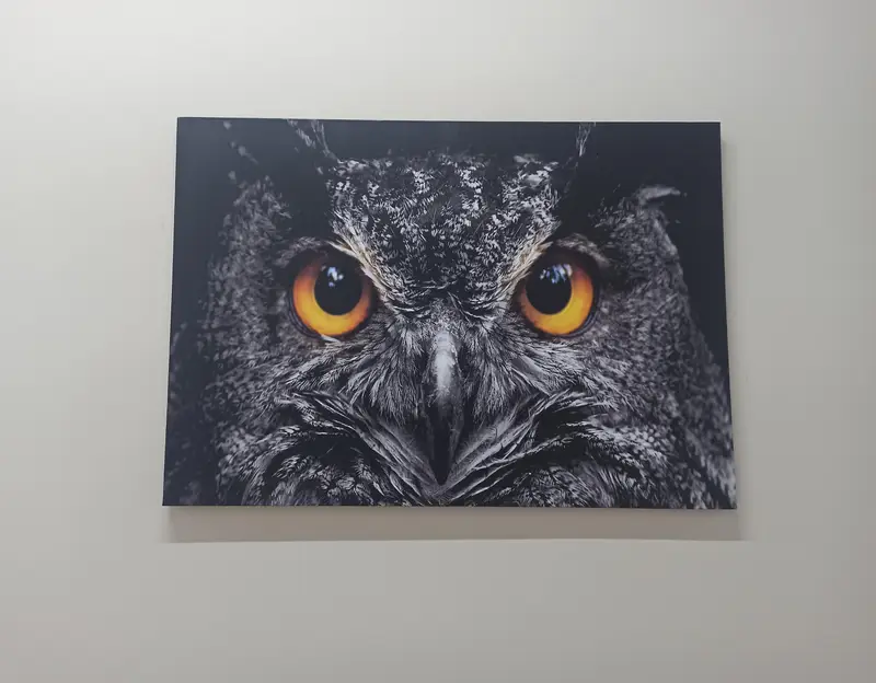 Eleganter Schwarz-Weiß-Leinwanddruck mit Eulenaugen für die Loft-Dekoration