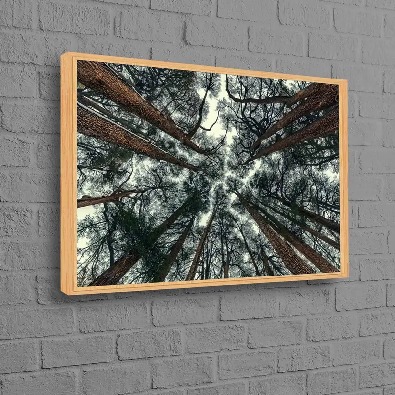 エレガントなフォレストビューキャンバスプリント - ファームハウス装飾アート