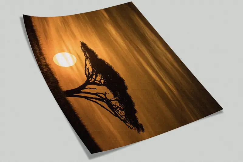Serengeti Sunrise Landscape, Wall Paper Peel and Stick, Paper Wall Art, Modern Wall Paper, Africa View Wall Art, - 10