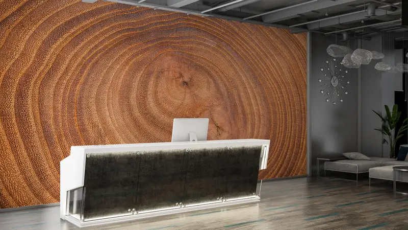 3D Wall Mural, Wood Wall Mural, Tree Trunk Wall Paper, Removable Wallpaper, Tree Wallpaper, Modern Wall Mural, Stylish 3D Wallpaper, - 4