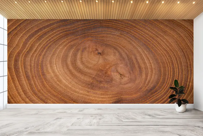 3D Wall Mural, Wood Wall Mural, Tree Trunk Wall Paper, Removable Wallpaper, Tree Wallpaper, Modern Wall Mural, Stylish 3D Wallpaper, - 2
