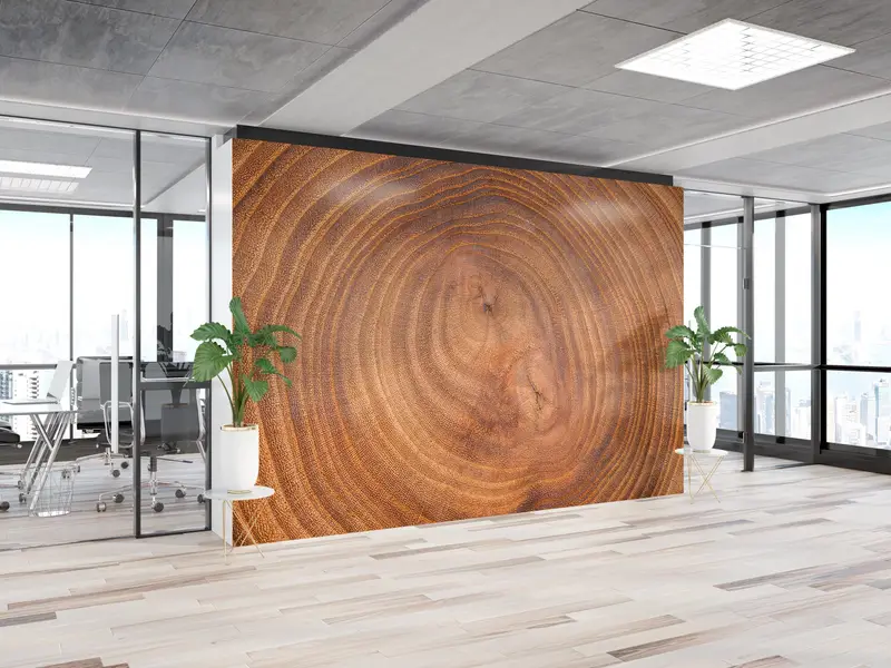 3D Wall Mural, Wood Wall Mural, Tree Trunk Wall Paper, Removable Wallpaper, Tree Wallpaper, Modern Wall Mural, Stylish 3D Wallpaper, - 5