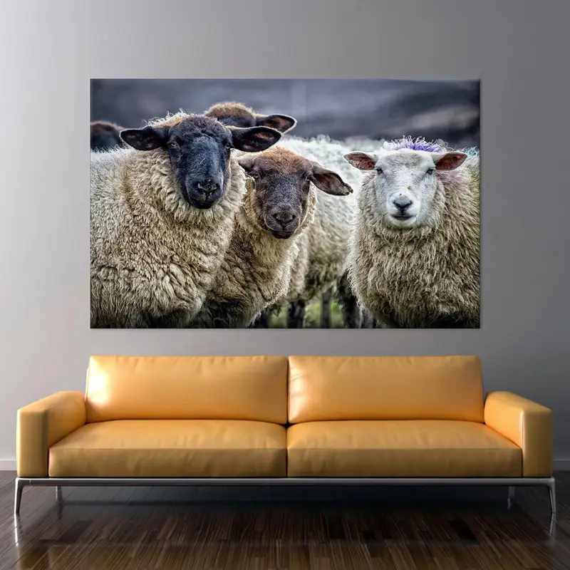 Sheeps Wall Decor Art, Farmhouse Wall Decor, Farm Canvas Art, Domestic Animal Art, Animal Canvas Art, Sheep Wall Art ,Sheep Canvas Art - 1