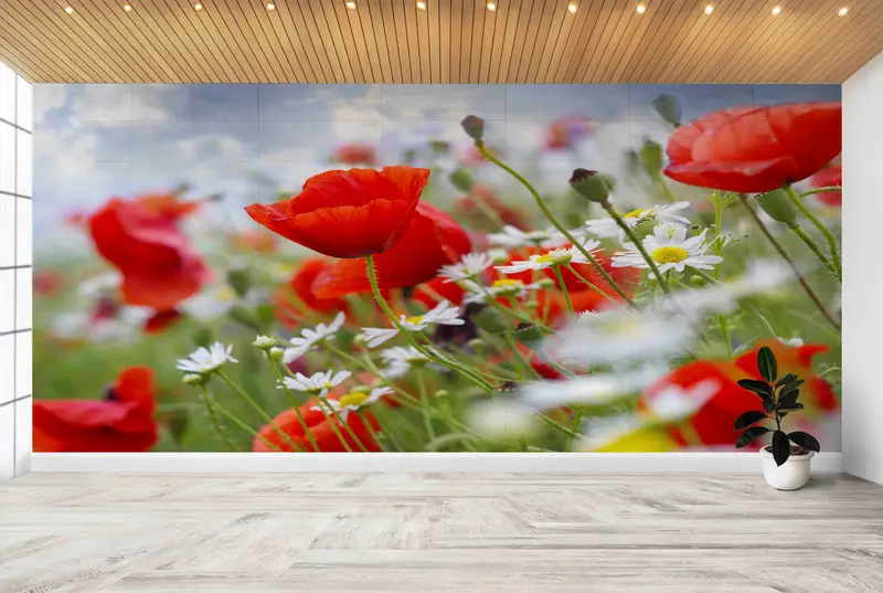 印刷された壁紙: ケシ畑、農家、トレンディなデイジーの花