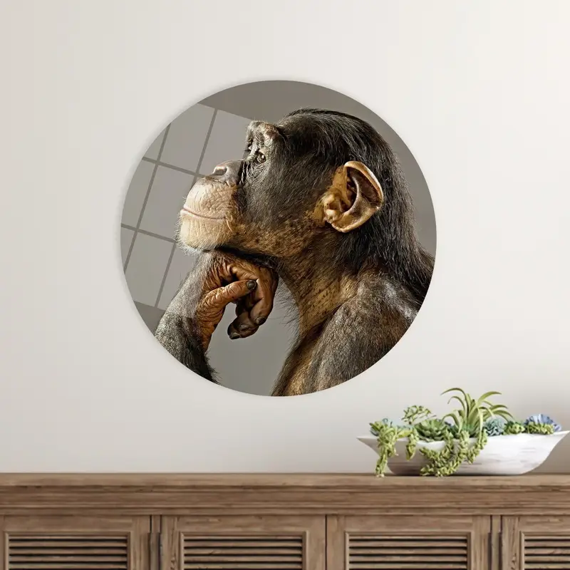 Chic Monkey Photo Canvas: Unique Monkey Lover Gift Art