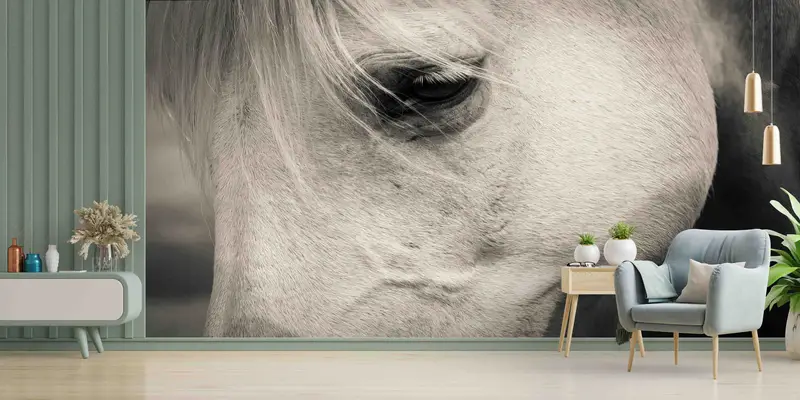 Zarif At Baskılı Duvar Kağıdı: Man Cave ve Ofis için Modaya Uygun Dekor