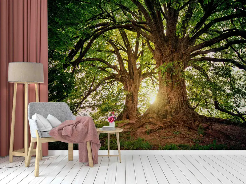 Zarif Baskılı Orman Manzaralı Duvar Kağıdı: Doğanın Yeşil Gündoğumu