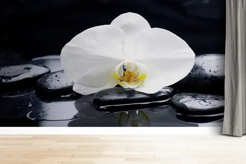 Zarif Orkide Baskılı Duvar Kağıdı: Spa Taşlarından Esinlenen Dekor