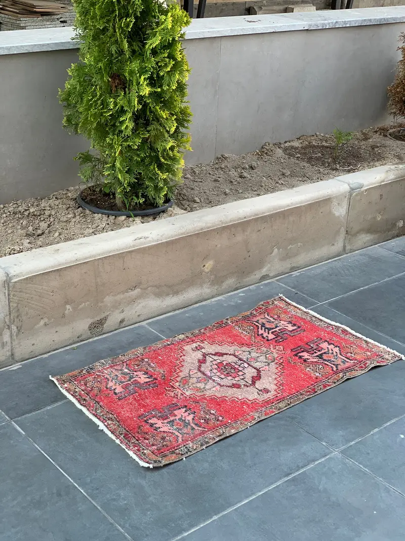Red Oriental Rug, 1,64x3,01 ft Elegant Beige Accent