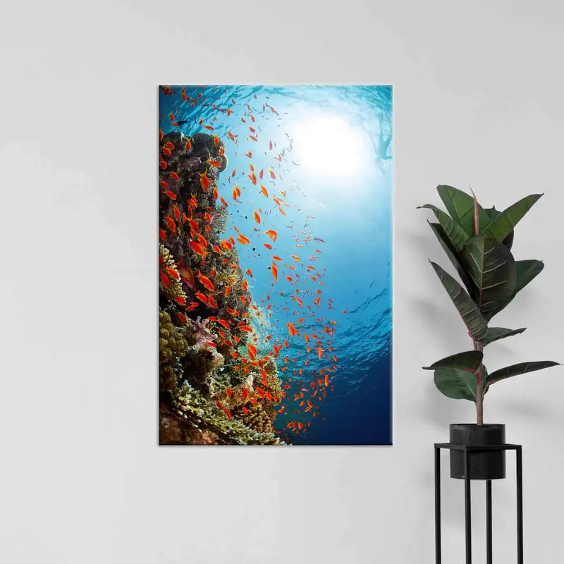 Elegant Sea Landscape with Fishes Printed Canvas Art