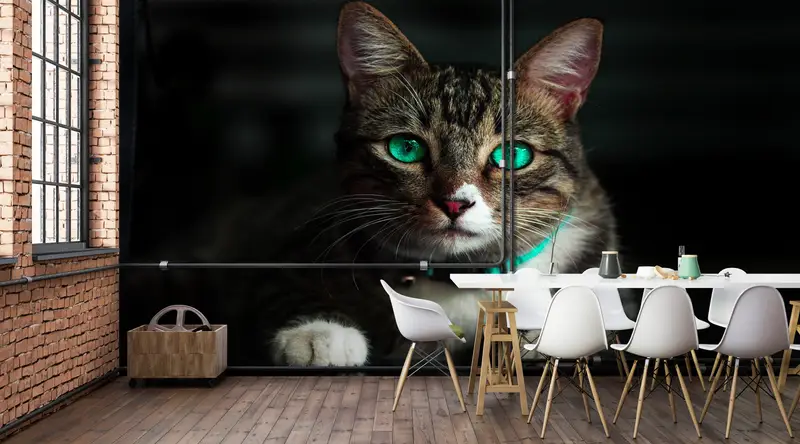 Cat Lover Gift Wall Mural,Bright Wall Paper,Lovely Cat Wallpaper,3d Wall Paper,Custom Wall Paper,Cat Mural,Small Cat Wall Paper, - 2