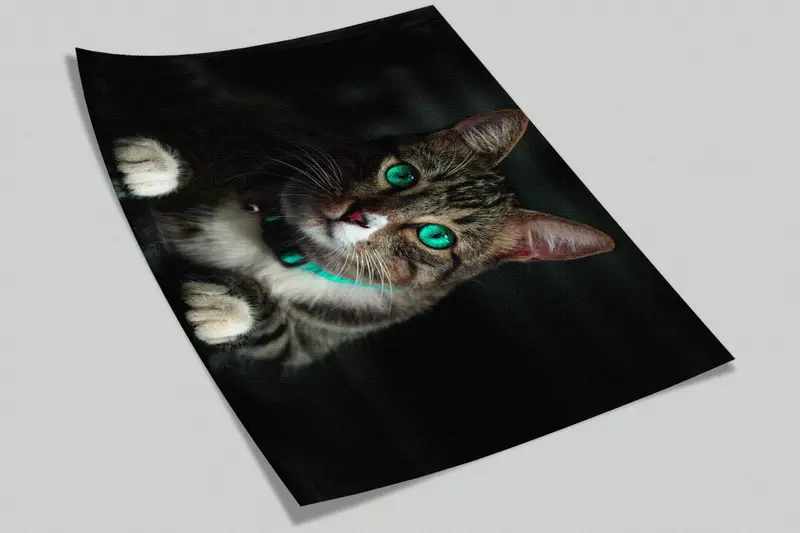 Cat Lover Gift Wall Mural,Bright Wall Paper,Lovely Cat Wallpaper,3d Wall Paper,Custom Wall Paper,Cat Mural,Small Cat Wall Paper, - 8