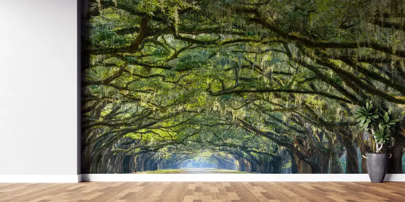 Oak Trees Wall Painting, View Wall Print, Stunning Line Wall Painting, Stunning Line of Oak Trees Wall Decals, Room Wall Decor, - 2