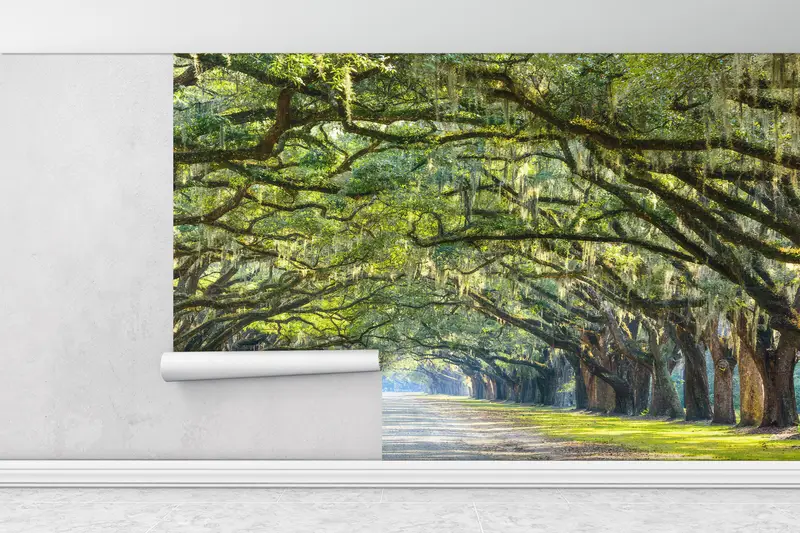Oak Trees Wall Painting, View Wall Print, Stunning Line Wall Painting, Stunning Line of Oak Trees Wall Decals, Room Wall Decor, - 1