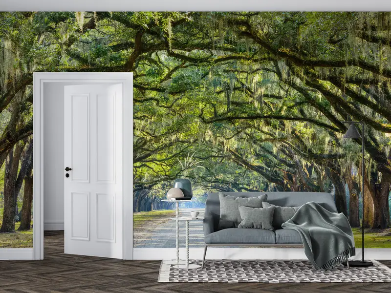 Oak Trees Wall Painting, View Wall Print, Stunning Line Wall Painting, Stunning Line of Oak Trees Wall Decals, Room Wall Decor, - 4