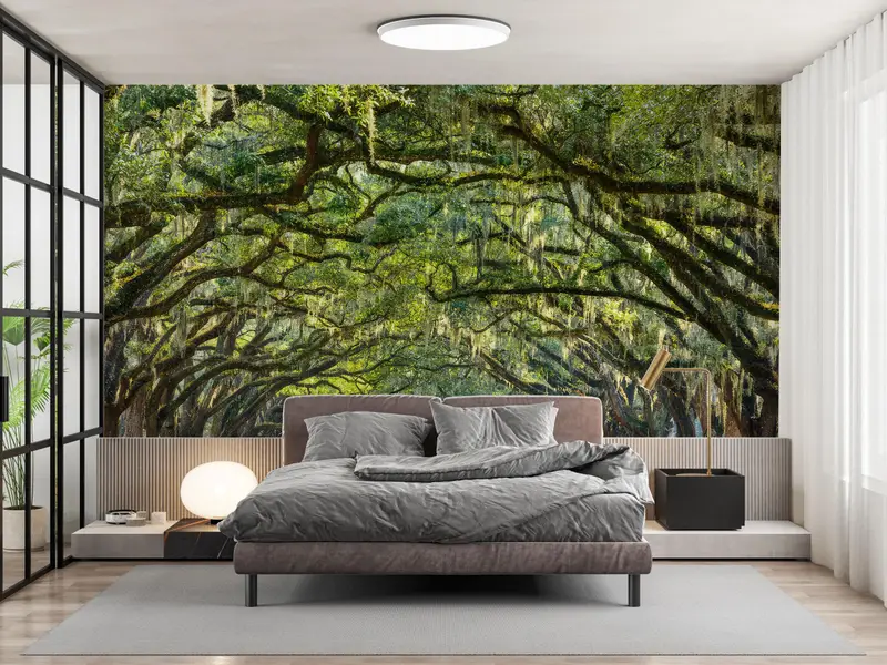 Oak Trees Wall Painting, View Wall Print, Stunning Line Wall Painting, Stunning Line of Oak Trees Wall Decals, Room Wall Decor, - 3