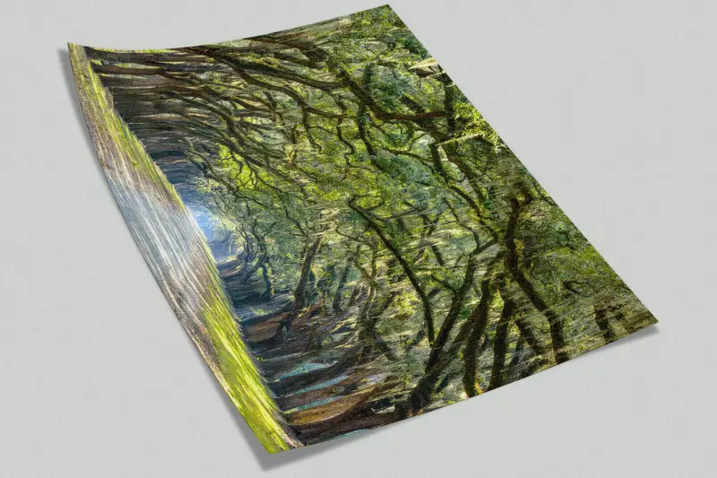 Oak Trees Wall Painting, View Wall Print, Stunning Line Wall Painting, Stunning Line of Oak Trees Wall Decals, Room Wall Decor, - 5