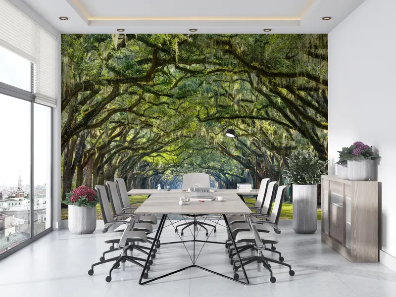 Oak Trees Wall Painting, View Wall Print, Stunning Line Wall Painting, Stunning Line of Oak Trees Wall Decals, Room Wall Decor, - 9