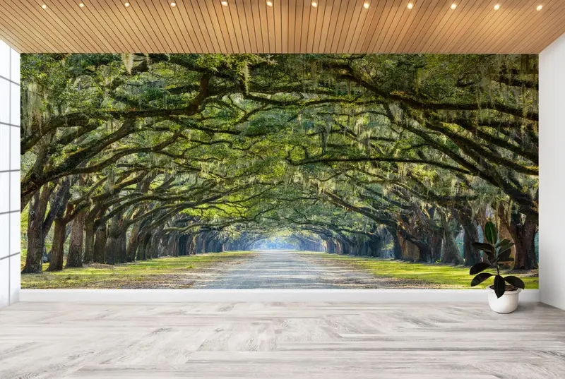 Oak Trees Wall Painting, View Wall Print, Stunning Line Wall Painting, Stunning Line of Oak Trees Wall Decals, Room Wall Decor, - 8