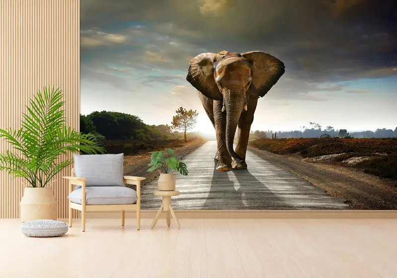 Papel pintado de elefante estampado elegante: decoración de naturaleza salvaje