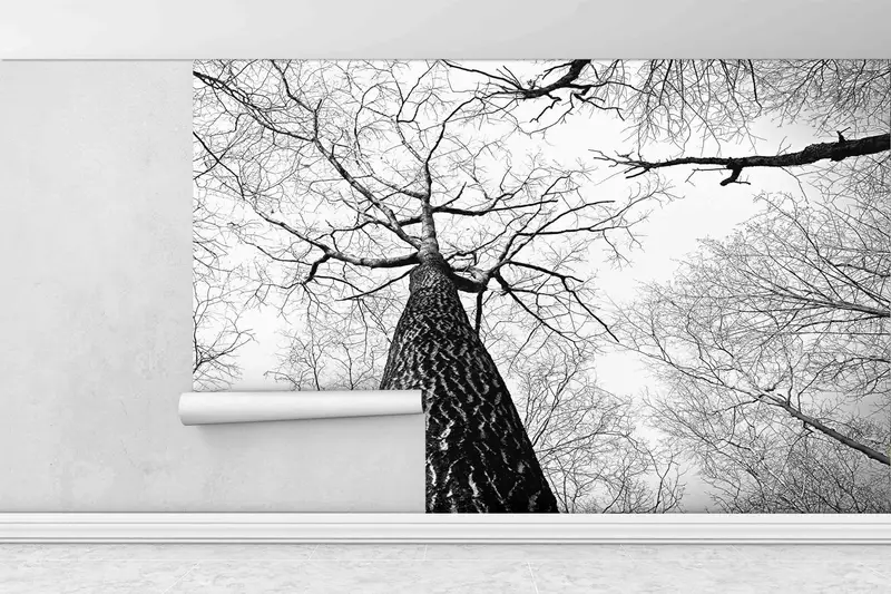 Black and White Wall Decor, Forest Digital Paper, Tree Branch Wall Mural, Printable Wall Art, Landscape Paper Craft, Decor For Wall, - 1