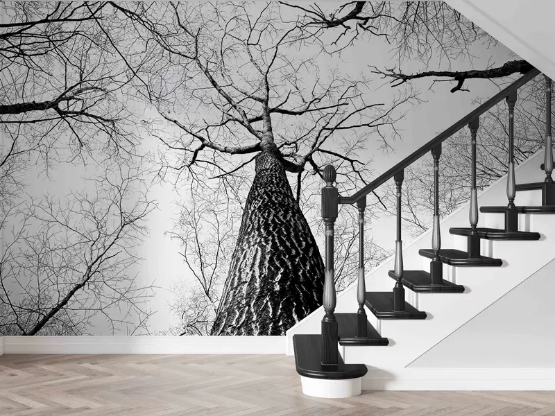 Black and White Wall Decor, Forest Digital Paper, Tree Branch Wall Mural, Printable Wall Art, Landscape Paper Craft, Decor For Wall, - 5
