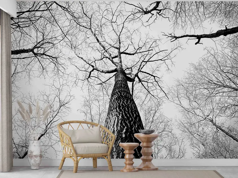 Black and White Wall Decor, Forest Digital Paper, Tree Branch Wall Mural, Printable Wall Art, Landscape Paper Craft, Decor For Wall, - 2