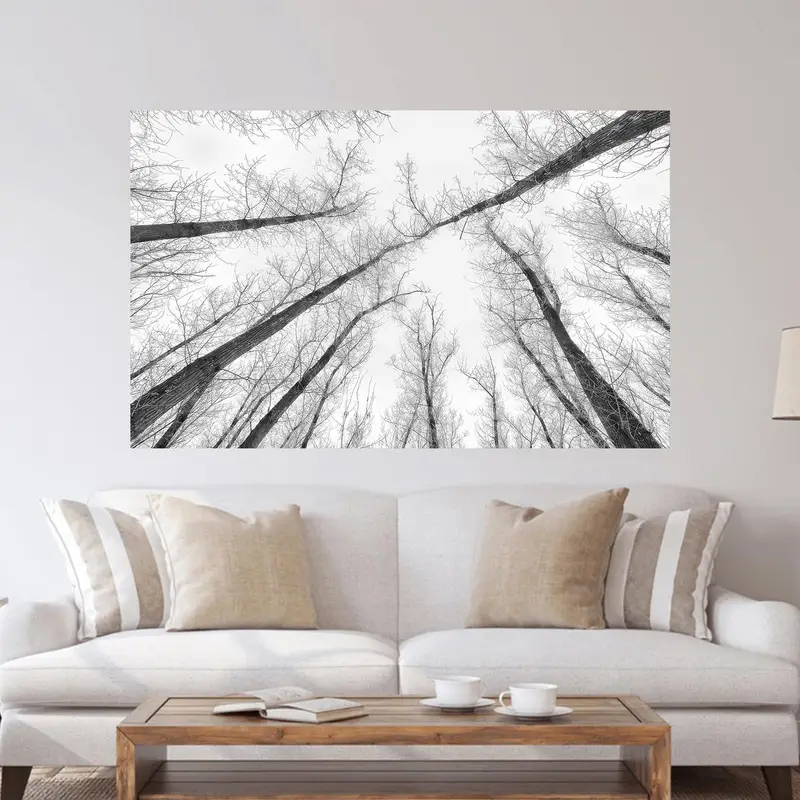 オフィス用のモダンな白黒の木の風景プリントガラス